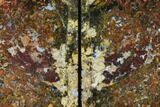Tall, Red And Yellow Jasper Bookends - Marston Ranch, Oregon #166076-2